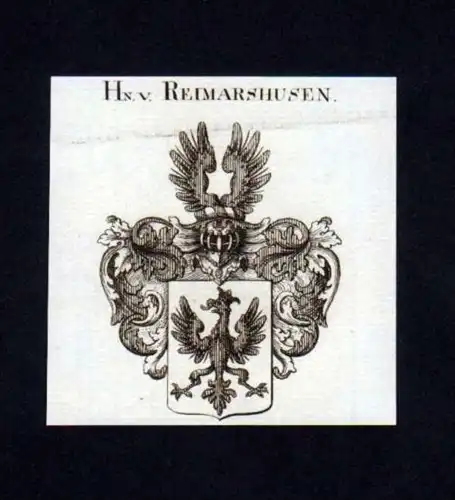 Herren v. Reimarshusen Reimarshausen Kupfer Wappen