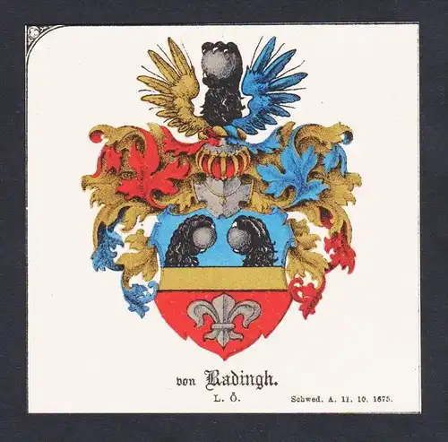 . von Radingh Wappen Heraldik coat of arms heraldry Chromo Lithographie