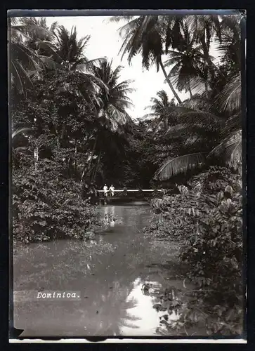 - Dominica Lesser Antilles Caribbean original photo albumin albumen vintage