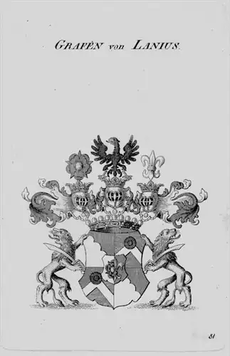 Lanius Wappen Adel coat of arms heraldry Heraldik crest Kupferstich