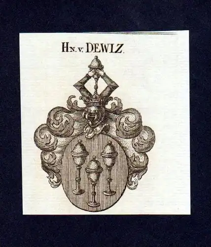 Herren von Dewiz Original Kupferstich Wappen engraving Heraldik crest