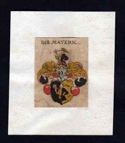 Mayer Mayern 17. Jh Wappen coat of arms heraldry Heraldik Kupferstich