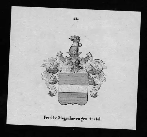 von Siegenhofen gen. Anstel Wappen Adel coat of arms heraldry Lithographie