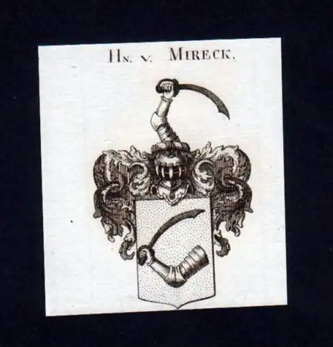 Herren v. Mireck Heraldik Kupferstich Wappen