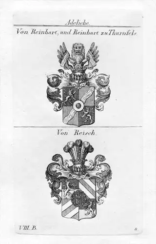 Reinhart Thurnfels / Reisch - Wappen Adel coat of arms heraldry Heraldik Kupferstich
