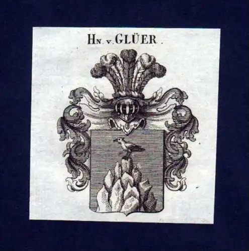 Herren v. Glüer Heraldik Kupferstich Wappen
