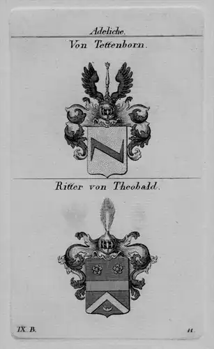 Tettenborn Theobald Wappen Adel coat of arm Heraldik crest Kupferstich