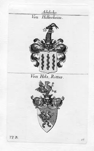 Von Hillesheim / Von Hilz, Ritter / Bayern - Wappen coat of arms Heraldik heraldry Kupferstich