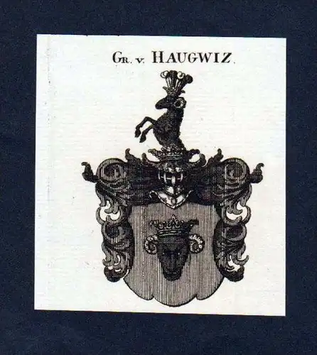 Grafen von Haugwiz Original Kupferstich Wappen