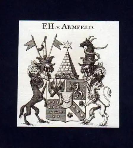 Freiherren v. Armfeld Heraldik Kupferstich Wappen