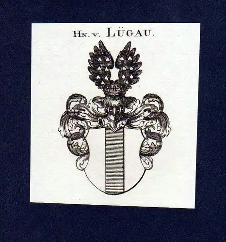 Herren von Lügau Original Kupferstich Wappen engraving Heraldik crest