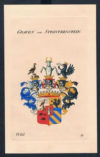 Grafen von Sprintzenstein Wappen Kupferstich Genealogie Heraldik crest