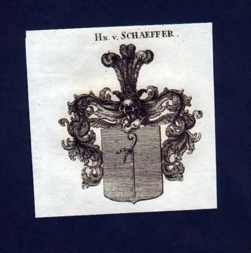 Herren v. Schaeffer Schäfer Kupferstich Wappen