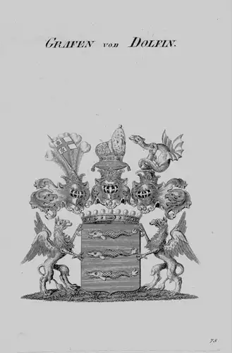 Dolfin Wappen Adel coat of arms heraldry Heraldik crest Kupferstich