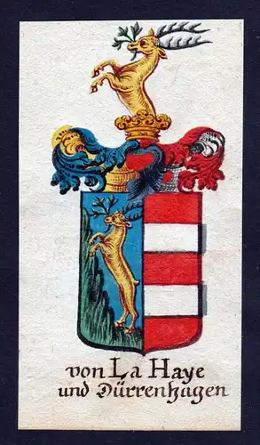 von La Haye und Dürrenhagen Wappen coat of arms Manuskript