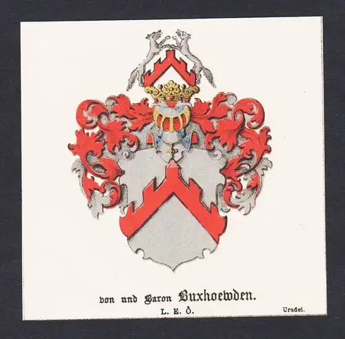 . von Buxhoewden Wappen Heraldik coat of arms heraldry Litho