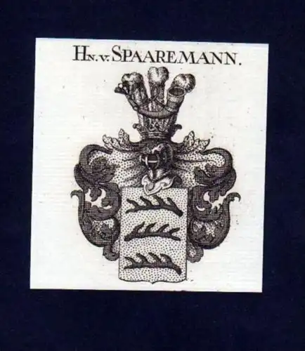 Herren v. Spaaremann Sparmann Kupferstich Wappen Heraldik coat of arms