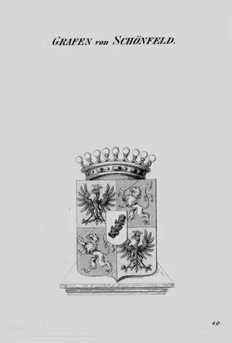 Schönfeld Wappen Adel coat of arms heraldry Heraldik crest Kupferstich