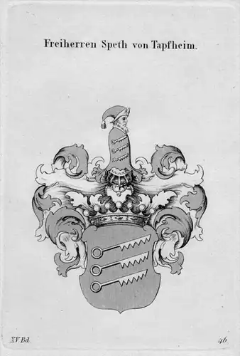 Tapfheim Wappen Adel coat of arms heraldry Heraldik crest Kupferstich