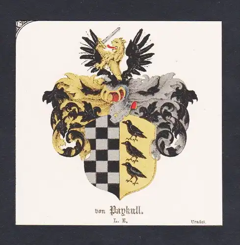. von Paykull Wappen Heraldik coat of arms heraldry Chromo Lithographie