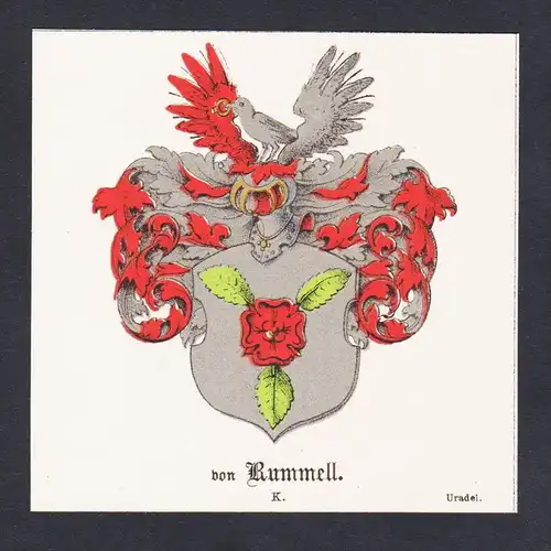 . von Rummell Wappen Heraldik coat of arms heraldry Lithographie