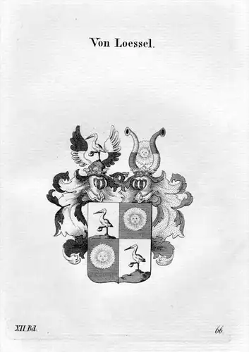 Loessel Lössel Lössl Adel Wappen coat of arms heraldry Heraldik Kupferstich