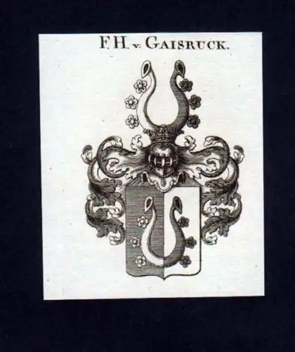 Freiherren v. Gaisruck Heraldik Kupferstich Wappen
