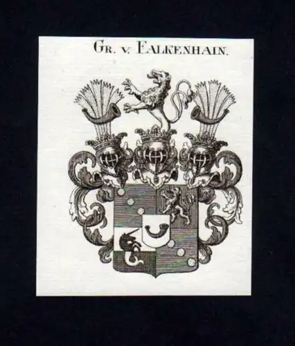 Grafen v. Falkenhain Heraldik Kupferstich Wappen