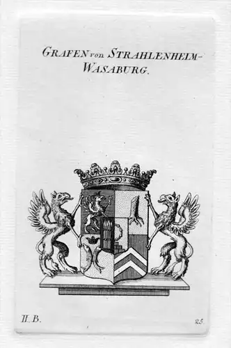 Strahlenheim Wasaburg Wappen coat of arms heraldry Heraldik Kupferstich