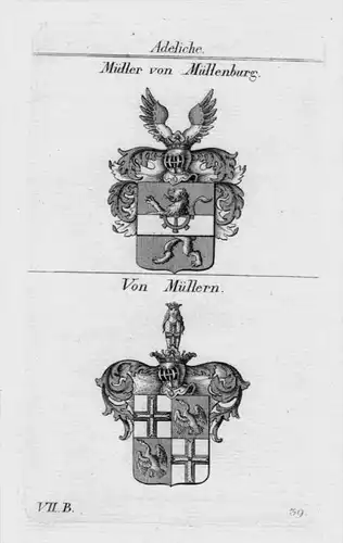 Müllenburg Müllern Wappen coat of arms heraldry Heraldik Kupferstich