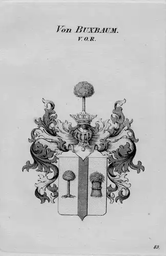 Von Buxbaum Wappen Adel coat of arms heraldry Heraldik crest Kupferstich