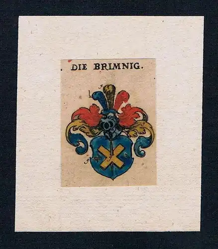 . die Brimnig Wappen coat of arms heraldry Heraldik Kupferstich