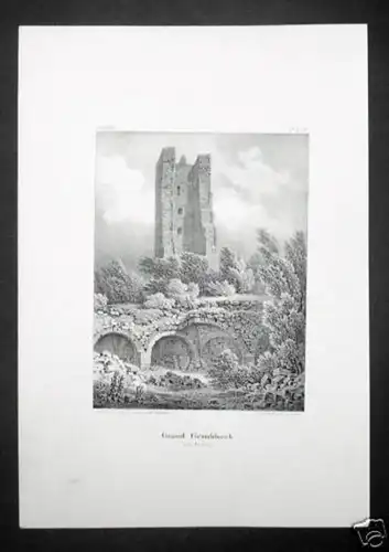 Burg Groß-Geroldseck Haegen Elsass Lithographie