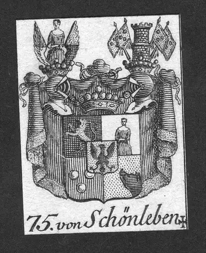 - von Schönleben Wappen vapen coat of arms Genealogie Heraldik Kupferstich