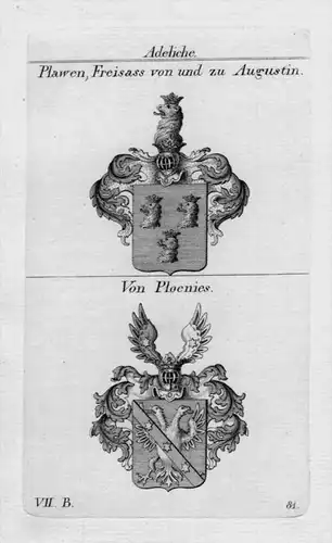 Plawen Ploenies Wappen Adel coat of arms heraldry Heraldik Kupferstich