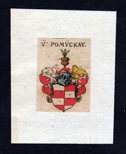 h. von Pomückau Wappen coat of arms heralrdy Heraldik Kupferstich