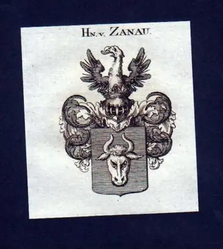 Herren v. Zanau Kupferstich Wappen