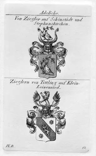 Ziegler / Zieglern - Wappen Adel coat of arms heraldry Heraldik Kupferstich