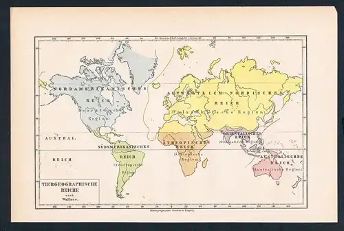 Tiergeographische Karte Amerika Australien Asien Lithographie lithography