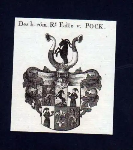 Edle v. Pock Heraldik Kupferstich Wappen