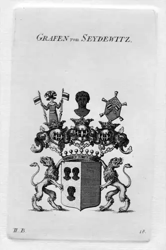 Seydewitz Seidewitz Wappen Adel coat of arms heraldry Heraldik Kupferstich