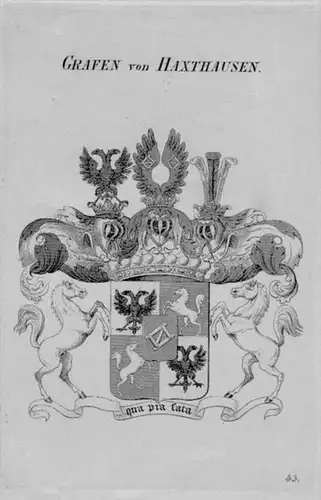 Haxthausen Wappen Adel coat of arms heraldry Heraldik crest Kupferstich
