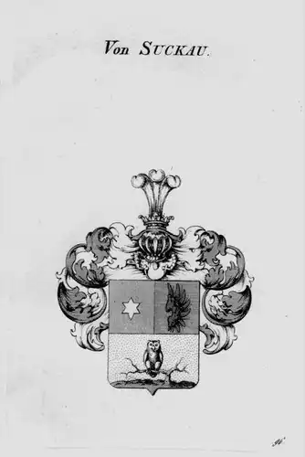 Von Suckau Wappen Adel coat of arms heraldry Heraldik crest Kupferstich