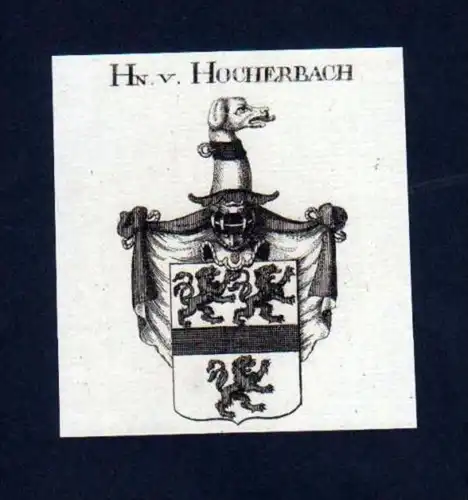 Herren v. Hocherbach Heraldik Kupferstich Wappen