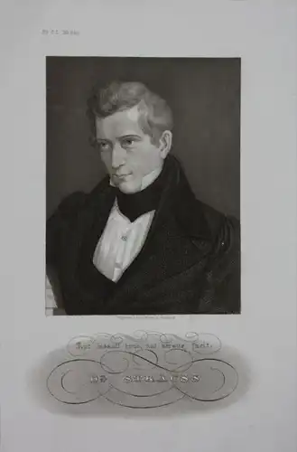 Dr. Strauss Arzt Doktor Original engraving  Portrait