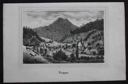 Krippen Bad Schandau Osterzgebirge Erzgebirge Original Lithographie Litho