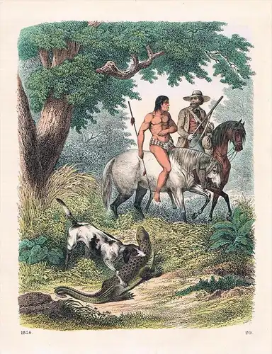 Guyana Südamerika Jagd South America hunting Lithographie lithograph