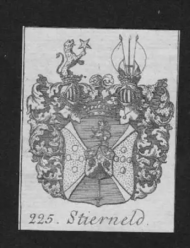Stierneld Wappen vapen coat of arms Genealogie Heraldik Kupferstich