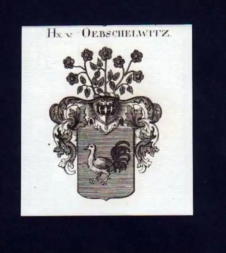 Herren v. Oebschelwitz Öbschelwitz Kupfer Wappen