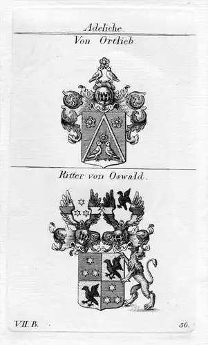Ortlieb Oswald Wappen coat of arms Heraldik heraldry Kupferstich